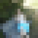 ���������� ���������, ���� ������� ���������, 24 ����, ������������ ��� ������, ����� � ���������, c�������� ���������