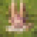  ,   ZARA, 40 ,   , 