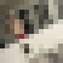 ���������� ������, ���� ����� �����, 23 ����, ������������ ��� ������, ����� � ���������