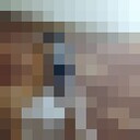 ���������� �������, ���� ����� ����������, 24 ����, ������������ ��� ������, ����� � ���������