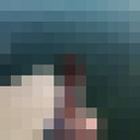  ,   , 44 ,     , c 