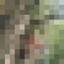 ���������� ��������, ���� ������� �������, 32 ����, ������������ ��� ������, ����� � ���������, ���������