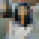  ,   , 35 ,   c 