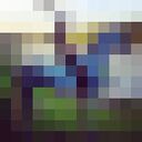 ���������� ������, ���� ����� �����, 22 ����, ������������ ��� ����� � ���������, c�������� ���������