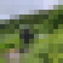 ���������� ������, ���� ����� �����, 22 ����, ������������ ��� ����� � ���������, c�������� ���������