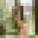 ���������� ������, ���� ������� ���, 27 ���, ������������ ��� ������, ����� � ���������