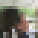  -,   , 44 ,   ,   , c 