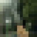  ,   , 29 ,   ,   , c , 