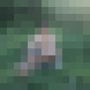  ,   069860814, 38 ,   