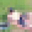 ���������� ������������, ���� ������� ����, 39 ���, ������������ ��� ������, ����� � ���������