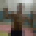  -,   , 33 ,   , c 