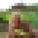  ,   , 63 ,   c 