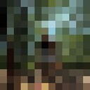 ���������� ���������, ���� ������� �������, 32 ����, ������������ ��� ������, ����� � ���������