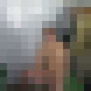 ,   , 48 ,   ,   , c 