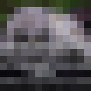  -,   , 37 ,   