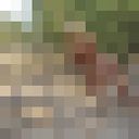 ���������� ��������, ���� ������� ����, 43 ����, ������������ ��� ������, ���������