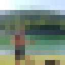 ���������� �����������, ���� ����� Timur, 25 ���, ������������ ��� ������, ���������