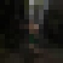 ���������� �������, ���� ����� Viv, 23 ����, ������������ ��� ������, ����� � ���������