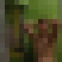 ���������� �����������, ���� ����� ����, 19 ���, ������������ ��� ������, ����� � ���������, ���������