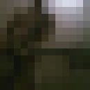  -,   , 34 ,  