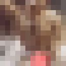  ,   , 50 ,   ,   , c , 