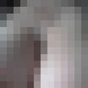  ,   Zema sladka, 42 ,   ,   , c , 