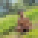 ���������� ������, ���� ����� ���, 21 ���, ������������ ��� ������, ����� � ���������