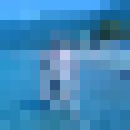  ,   Wolf, 46 ,   ,   , c 