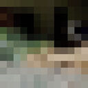  --,   , 52 ,   ,   , c , 