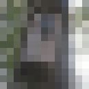  ,   , 62 ,   ,   , c 