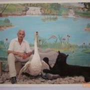  ,   , 61 ,   