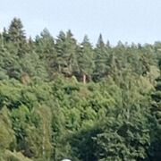 ���������� ������, ���� ������� ���������, 56 ���, ������������ ��� c�������� ���������