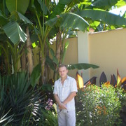 ���������� ������, ���� ������� ����, 43 ����, ������������ ��� ������, ����� � ���������, c�������� ���������