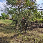 ���������� ������-���, ���� ������� ������, 45 ���, ������������ ��� ������, ���������