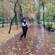  ,   , 29 ,   