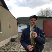 ���������� ����, ���� ������� ����, 36 ���, ������������ ��� ������, ����� � ���������, c�������� ���������