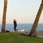 ���������� ���������, ���� ������� �����, 52 ����, ������������ ��� ������, ����� � ���������