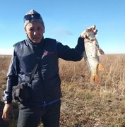  ,   , 39 ,   