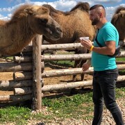 ���������� ������, ���� ������� �����, 41 ���, ������������ ��� ������, ���������