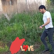 ���������� ������������, ���� ������� ������, 31 ���, ������������ ��� ������, ����� � ���������