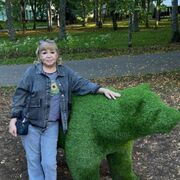 ���������� ������, ���� ������� �������, 60 ���, ������������ ��� ������, ����� � ���������