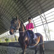 ���������� ������, ���� ������� El, 38 ���, ������������ ��� ����� � ���������, c�������� ���������