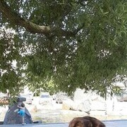  -,   , 28 ,   ,   , c 