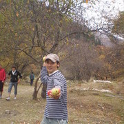 ���������� ������, ���� ������� ����, 41 ���, ������������ 