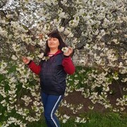  ,   , 53 ,   ,   