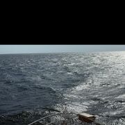 ���������� �����������, ���� ������� ������, 37 ���, ������������ ��� ������, ����� � ���������