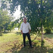  ,   , 41 ,   ,   , c 