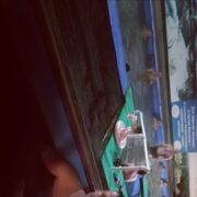 ���������� ����������, ���� ������� Anatolii, 41 ���, ������������ ��� ������, ����� � ���������