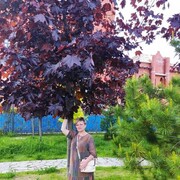 ���������� �����-���������, ���� ������� ������, 54 ����, ������������ ��� ������, ����� � ���������