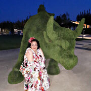 ���������� ���������, ���� ������� ����, 49 ���, ������������ ��� ������, ����� � ���������